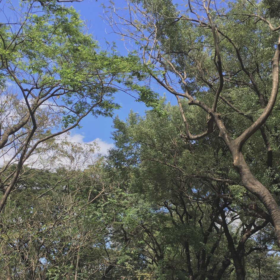 난 내 두뇌 스케치 위에 매일 너를 그려
(뭐라는 거야)
암튼 나는 네가 그냥 좋아

#ROCKY #라키 #PARKMINHYUK #박민혁 #ラキ