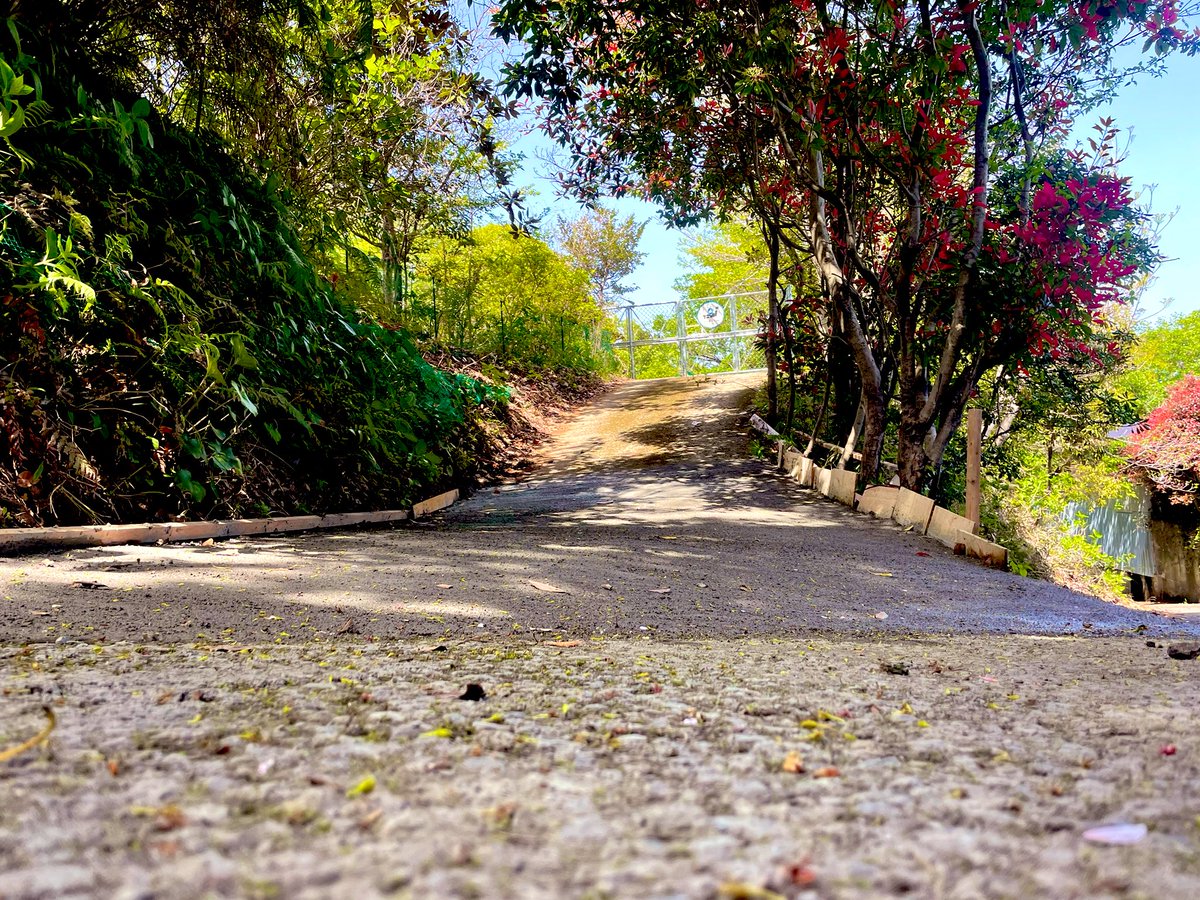 FreeSiteBase's tweet image. 第1BASE『伊豆大川』
長年の懸案事項だったスロープの下擦り💦
これで解消出来たかしら( ˘𖥦˘ )??
 #フリーサイトベース 
 #開拓 
 #セメント・砂・砂利 暫く見たくない😭
Before Afterｵﾜｶﾘｲﾀﾀﾞｹﾀﾀﾞﾛｳｶ