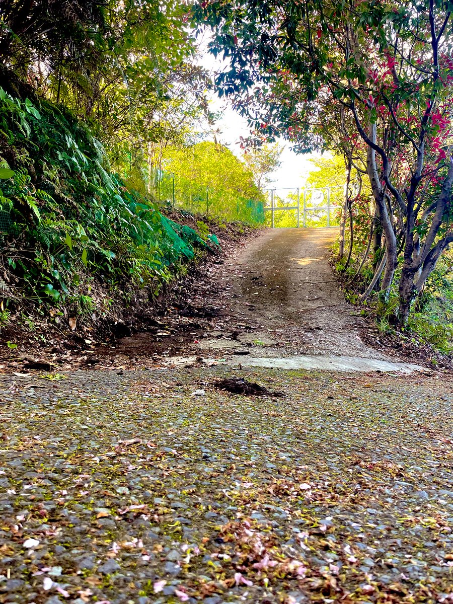 FreeSiteBase's tweet image. 第1BASE『伊豆大川』
長年の懸案事項だったスロープの下擦り💦
これで解消出来たかしら( ˘𖥦˘ )??
 #フリーサイトベース 
 #開拓 
 #セメント・砂・砂利 暫く見たくない😭
Before Afterｵﾜｶﾘｲﾀﾀﾞｹﾀﾀﾞﾛｳｶ