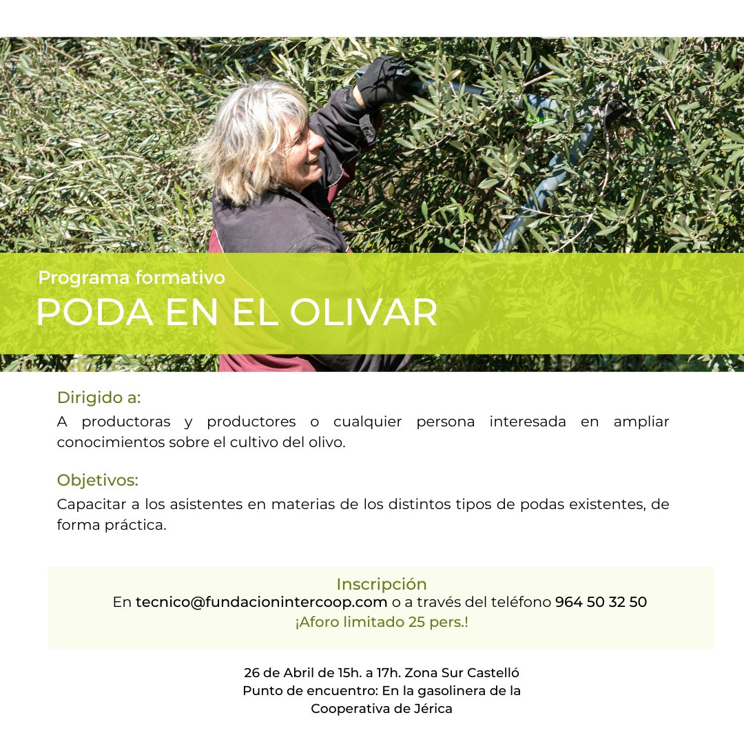 AOVE LOVERS tweet media