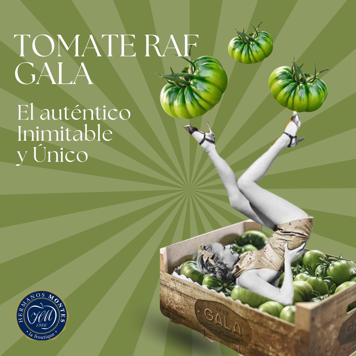 Son muchos los que intentan imitarle. Casi lo logran en su exterior … pero cuando das el primer bocado … ese sonido crocante, esa piel suave … y la intensidad de un sabor que llena de electricidad todo tus sistema nervioso …. Eso solo lo consigue el RAF DE GALA 🌿
.