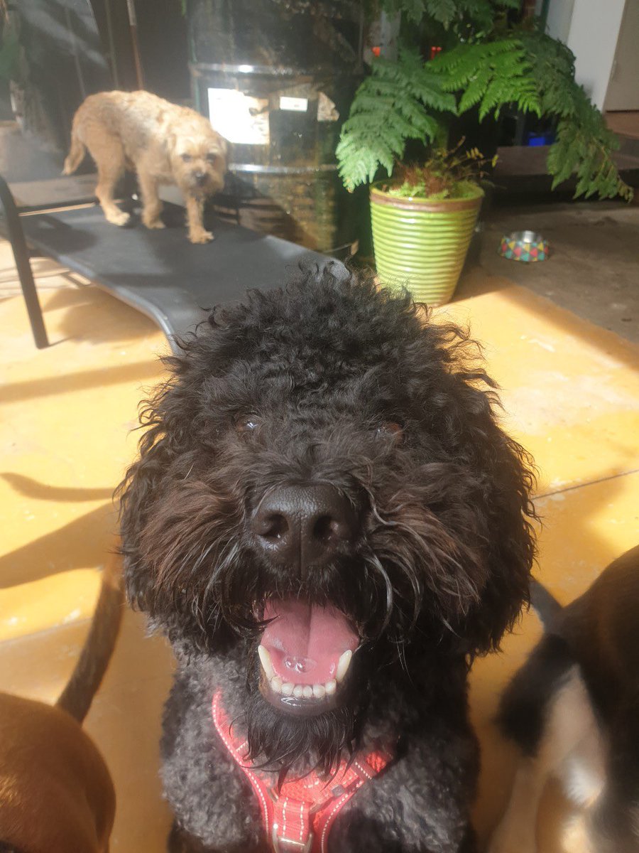 Tom Parker tweet media