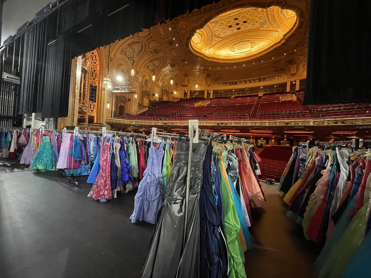 Lauren Hall tweet media