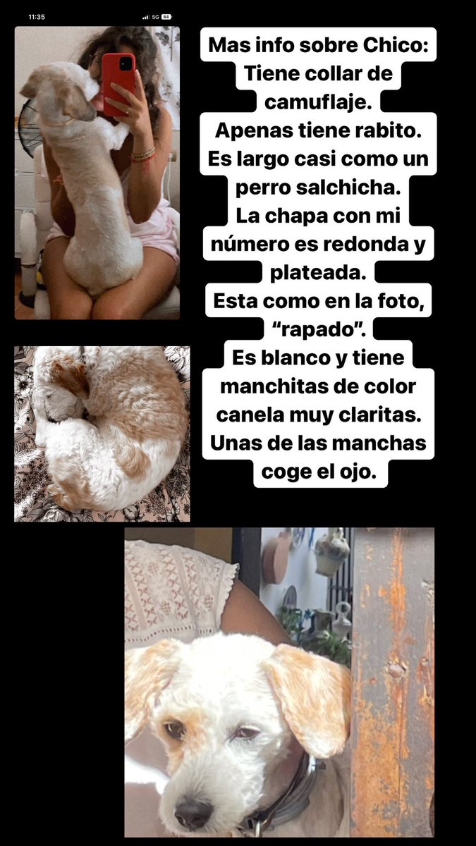 Mas info sobre Chico 🙏🏻
