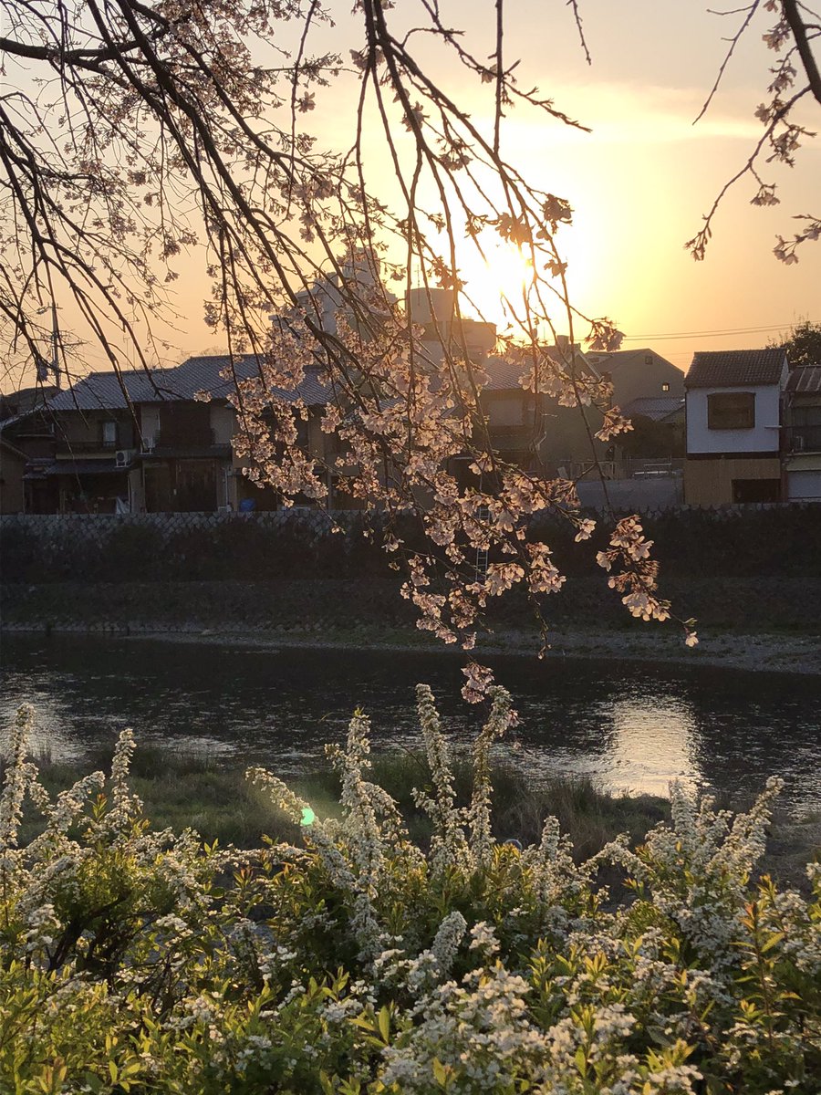 ４月１２日(水)
臨時休業いたします。