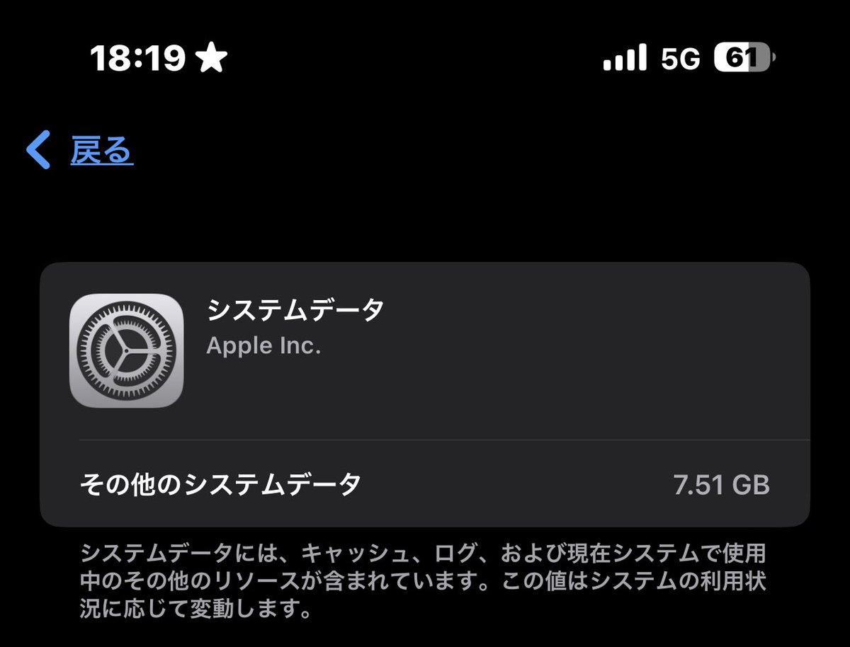 terubo_zu's tweet photo. iOS16.4.1にしたらシステムデータが0KBじゃなくなってた！ https://t.co/yy7dpvCvSA