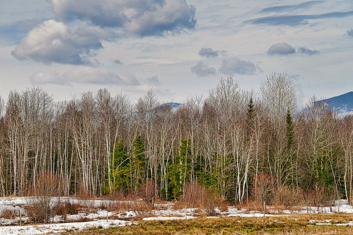 Keith Bradley tweet media