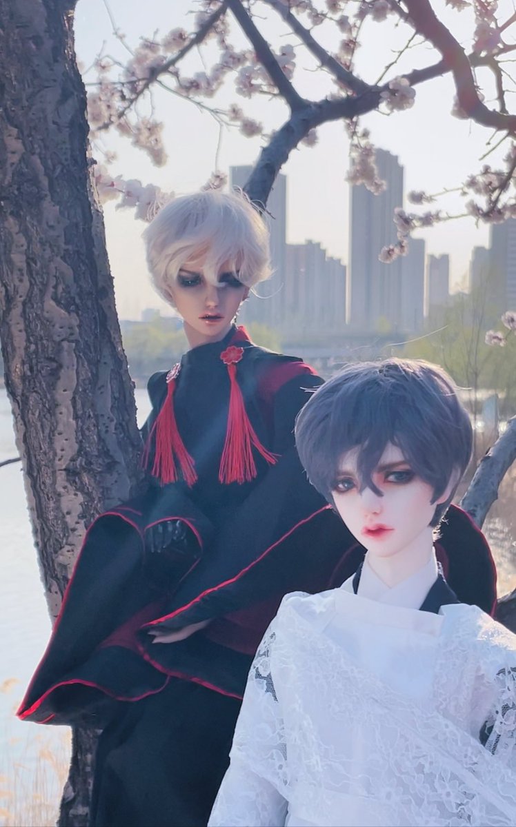 Daphin18's tweet photo. #illusiongarden
#BJD  #球体関節人形 https://t.co/PyH0FRKvtr