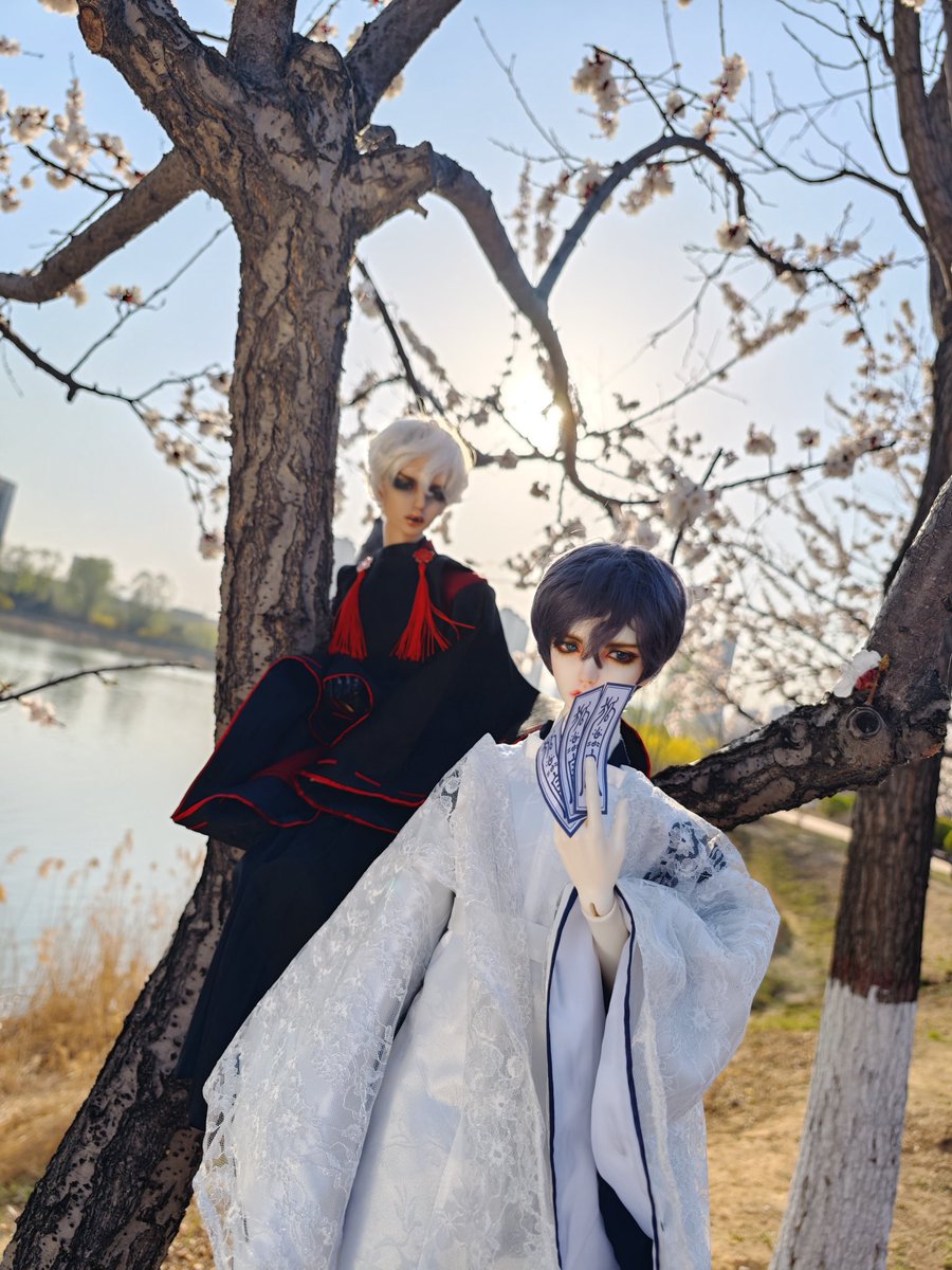 Daphin18's tweet photo. #illusiongarden
#BJD  #球体関節人形 https://t.co/PyH0FRKvtr