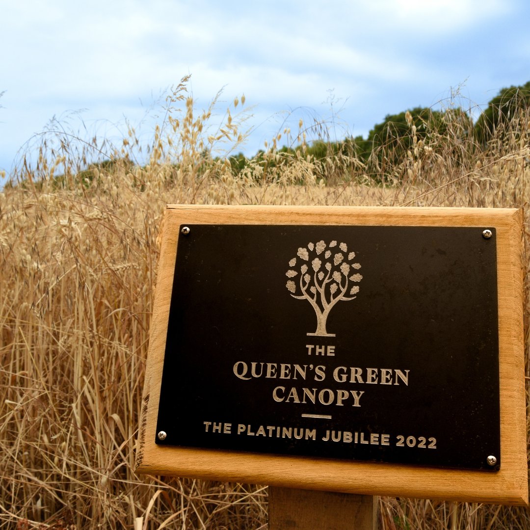 LandmarkSysLtd tweet media