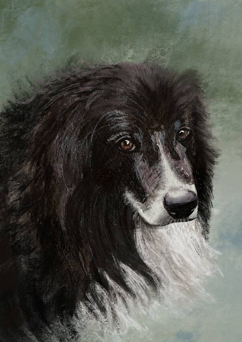 DrPoort's tweet photo. #PortfolioDay today!

I'm a freelance illustrator and animator, based in rural Ireland, mostly creating whimsical characters and the occasional pet portrait 🌟 

📨 portfleetdraws@gmail.com 
🌐 https://t.co/OwvXrCkS5b
📸 https://t.co/ChVZLD1abr https://t.co/5JLu9wArhj