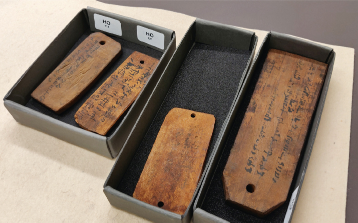 Mummy labels from the Ptolemaic/Roman periods (300 BCE-400 CE) in Egypt represent a vast and still unexplored wood corpus. Fascinating study @unige_ise @ccia_geneva led by François Blondel involving tree ring analysis of imported and endemic species 🌲💍
brill.com/view/journals/…