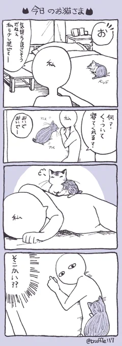 くっついて傍で寝てくれることはあっても、体の上に乗るのは珍しいので。しばらくこの状態でいました。 