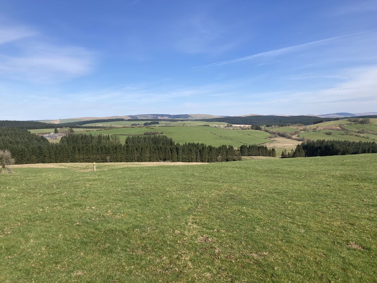 EpyntWayA's tweet photo. Spring is in the air #epyntway. First swallows and a glimpse of a pied flycatcher. https://t.co/TeW7CL9we1