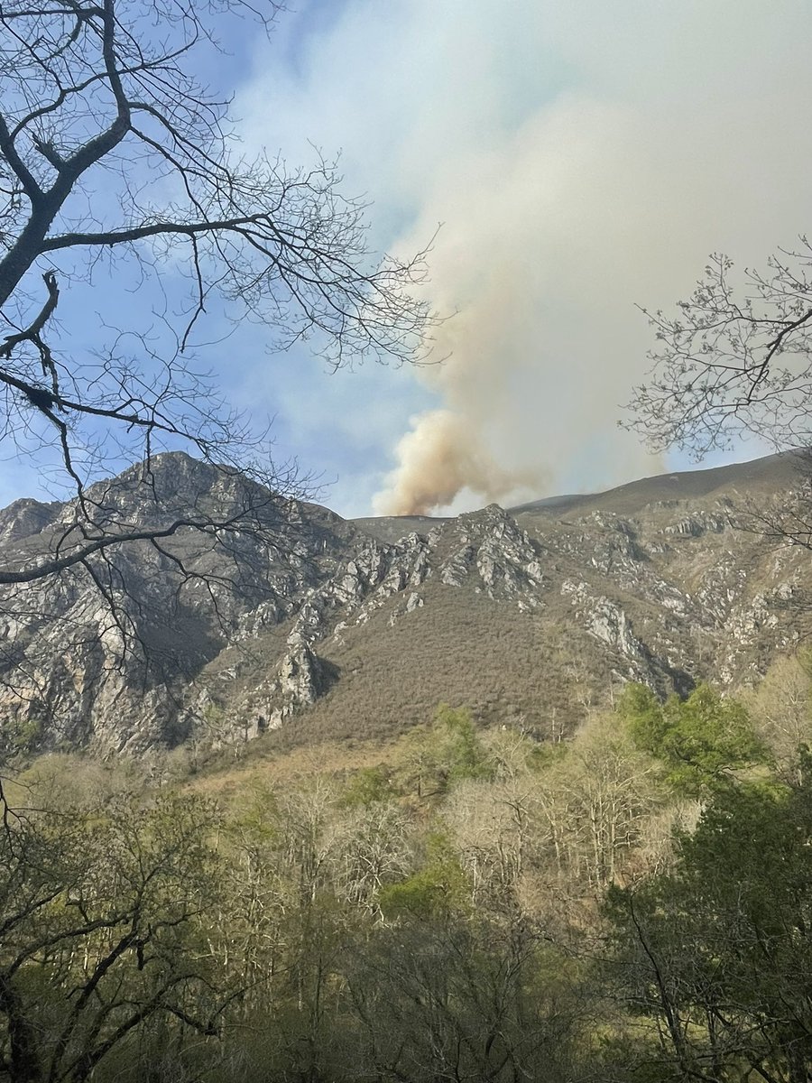 #AsturiasNoArdeLaQueman 😔🔥