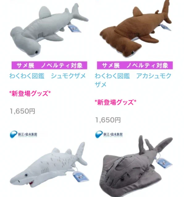 サメの歯 新江ノ島水族館 on X: 