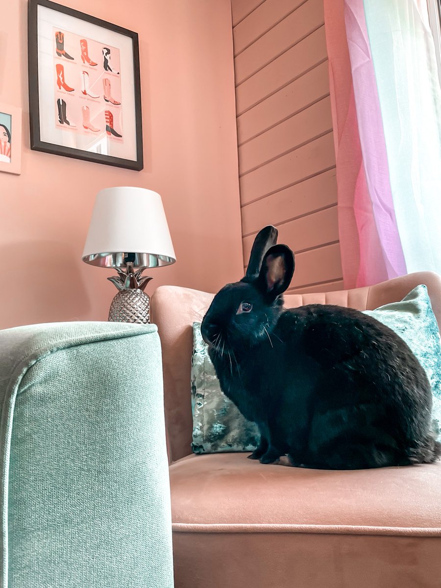 2 Sisters Design Ltd tweet media