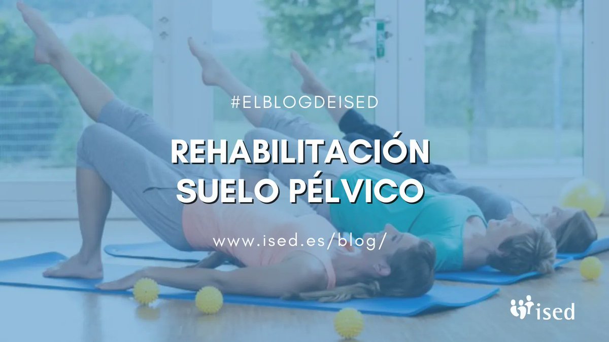 ISED_form's tweet photo. El #suelo #pélvico forma junto con otros #músculos un espacio denominado: #cavidad #abdominal #manométrica.

👇 Más información en #ElBlogdeIsed

🌍 https://t.co/6e9RrWTzPY

#blog #suelopelvico #sanitaria #sanitario #sanidad #rehabilitación #quiromasaje #médico #ised #españa https://t.co/JyznZ40veA