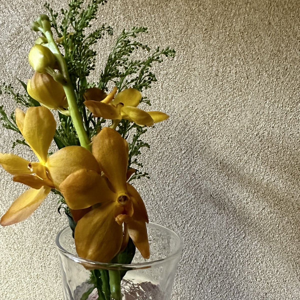un_chiappnaaa10's tweet photo. 紫から一変、黄色のお花は元気が出る💐

565844

@un1982 
#unofficial_flowergift
#UNFG
#hanameku https://t.co/QTgXBaYiSl