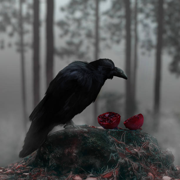 Qᴜᴏᴛᴇ ᴛʜᴇ ʀᴀᴠᴇɴ:

𝗡𝗲𝘃𝗲𝗿𝗺𝗼𝗿𝗲