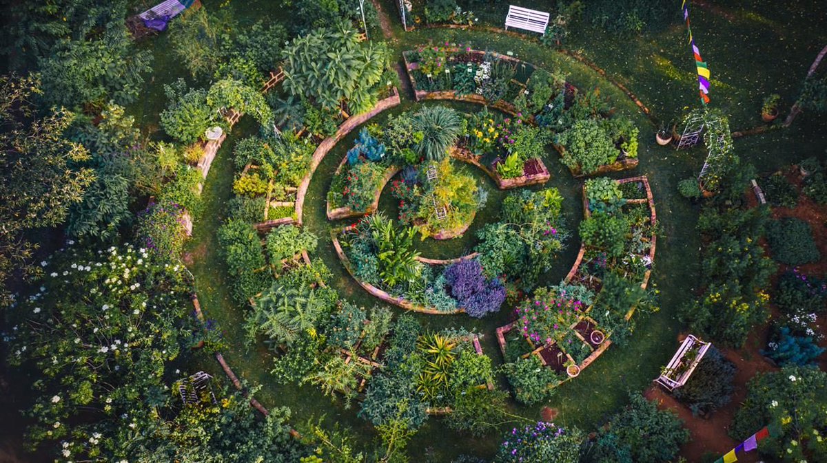 I spent my afternoon yesterday with wonderful people in a garden with a wide array of indigenous medicinal plants to Kenya.

Let me tell you Maina, these are the things big pharma does not want us to know. This is the knowledge we were robbed of by the Europeans.
