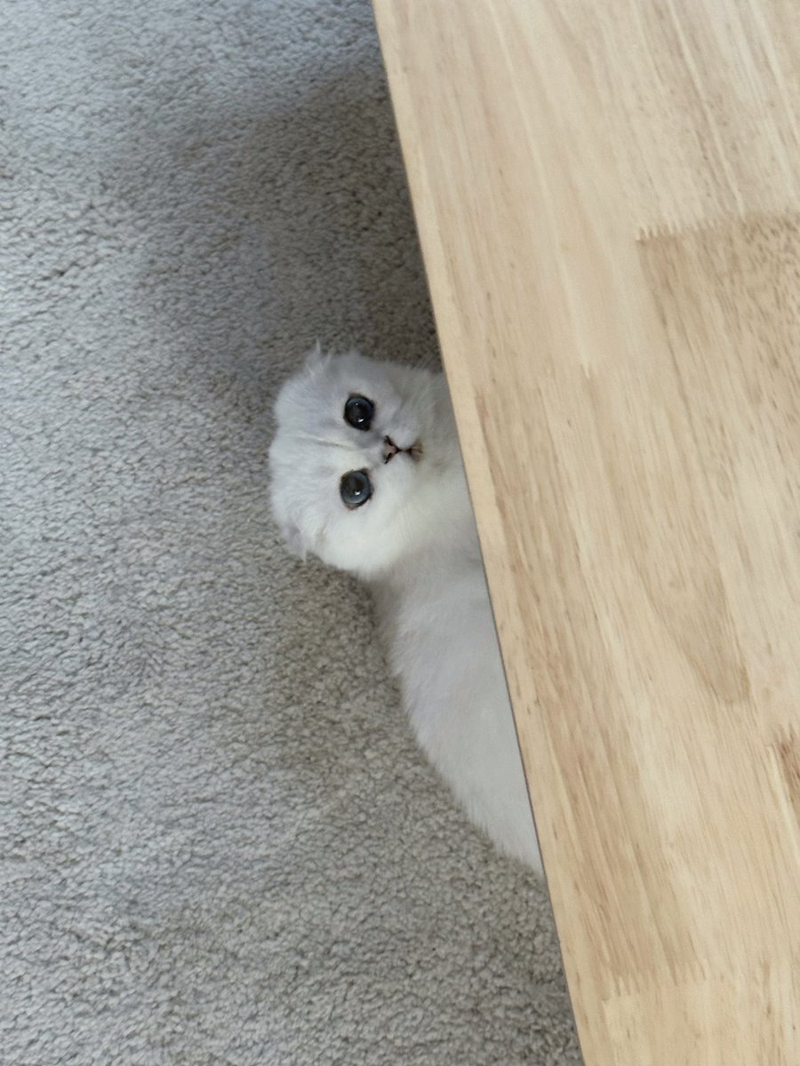 Bonusiie's tweet photo. https://t.co/RVEiKGlaCo