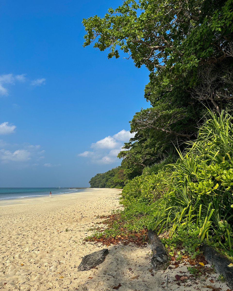 BarefootAndaman's tweet photo. Experience #paradise on Earth at #RadhanagarBeach and embrace your stay at #Barefoot In The Andamans - where turquoise waters, powder-soft sands and lush greenery merge to create an unparalleled tropical oasis. 💚

Book your stay now via the link in bio!

#Havelock #Travel #Beach https://t.co/6B42gAVp1W