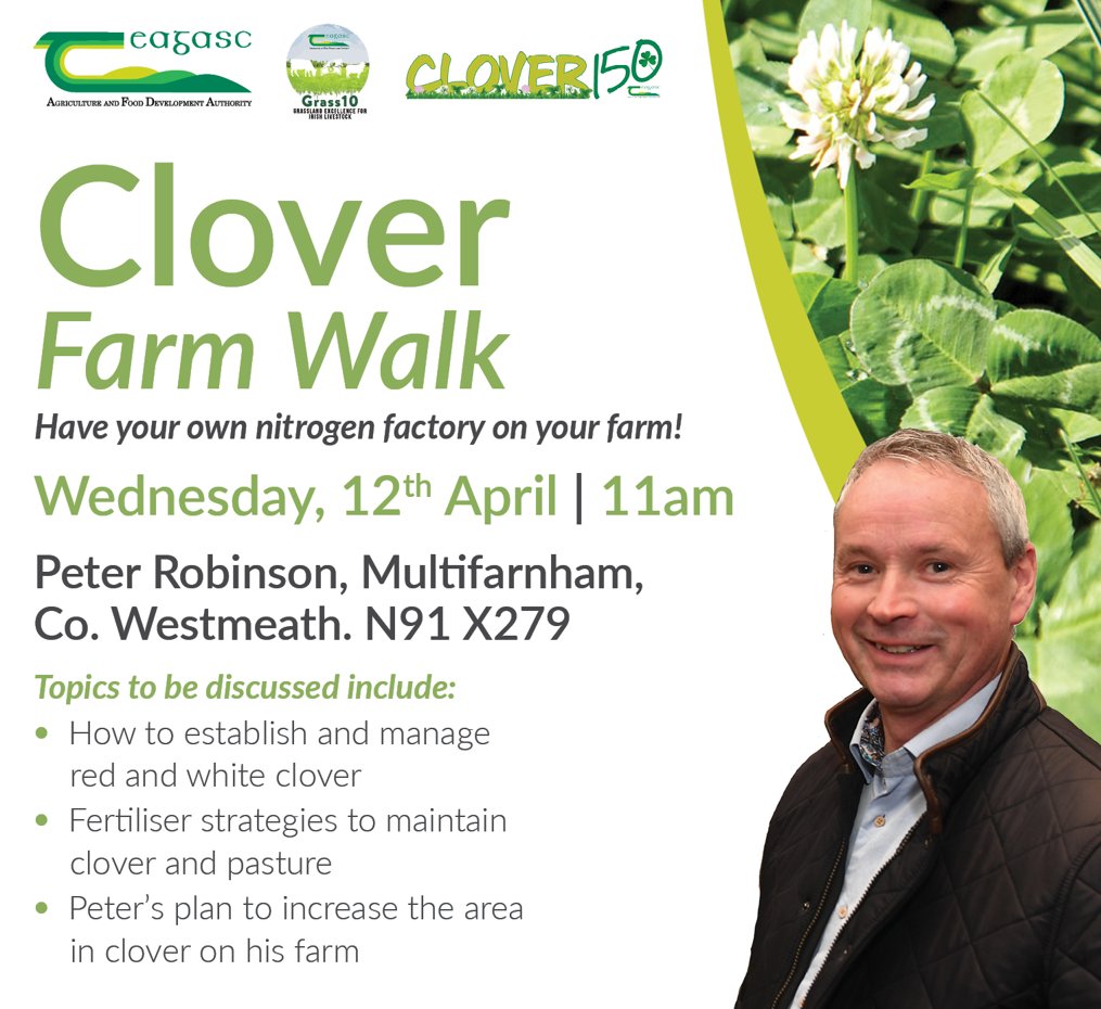 Clover walk on the farm of Supplier Peter Robinson, Westmeath N91 X279 tomorrow 12th April <a href="/teagasc/">Teagasc</a> <a href="/TeagascGrass10/">TeagascGrass10</a>