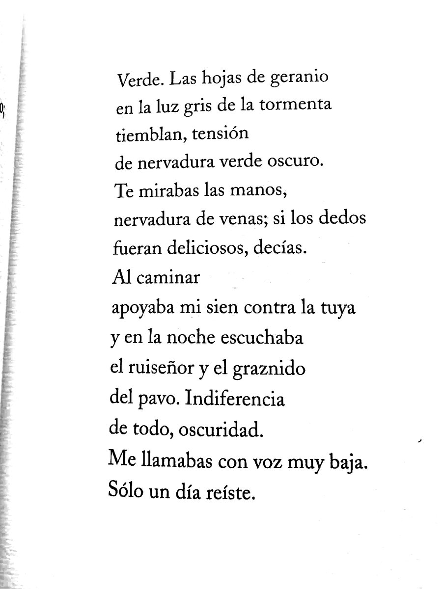 maptacabrera's tweet photo. me ha gustado muchísimo este libro que García Valdés escribe al espacio donde estaba y ya no su madre

he pensado en algunos amigos

hace bastantes años que este libro no se puede adquirir https://t.co/gg4br87WBq