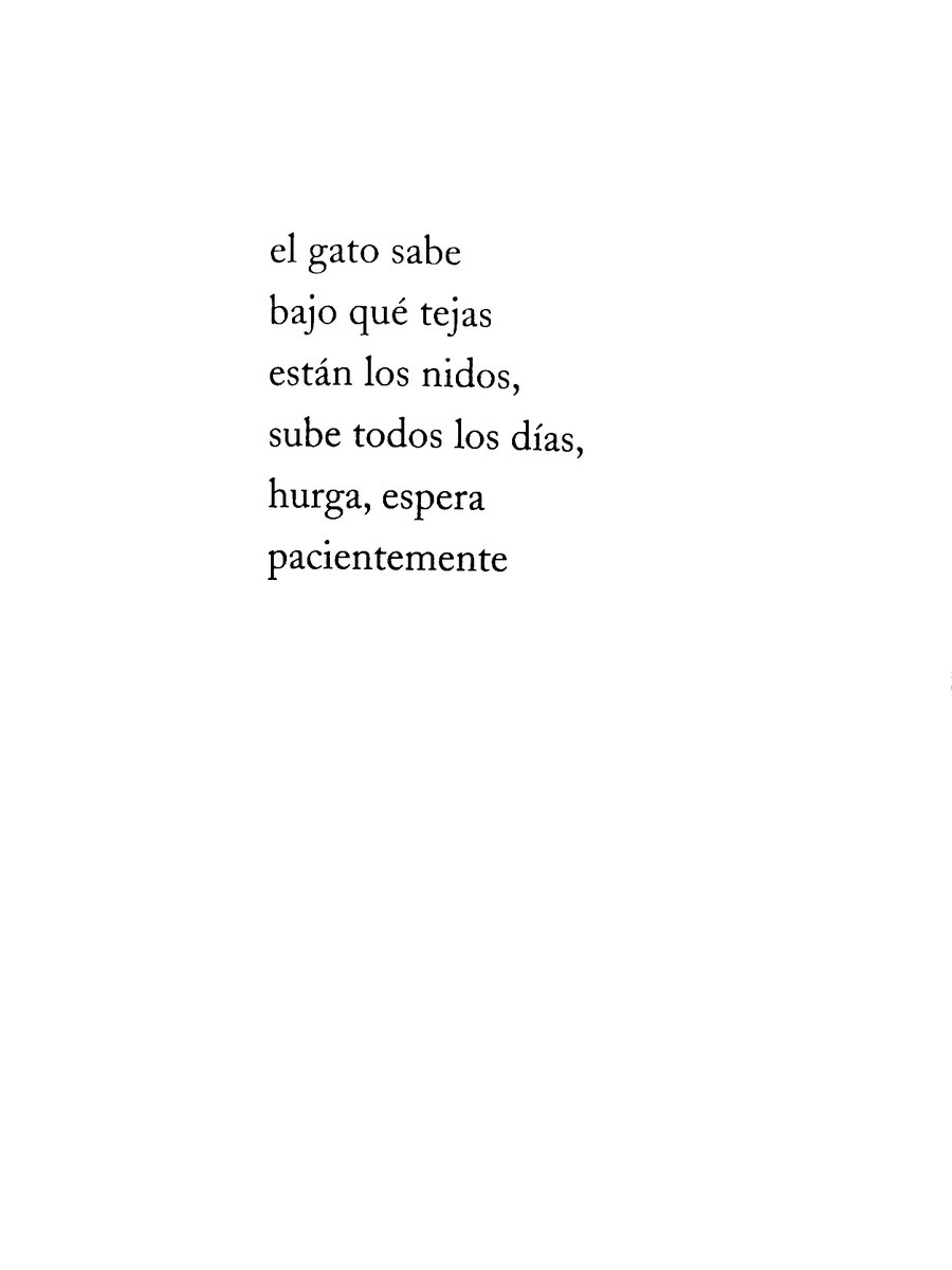 maptacabrera's tweet photo. me ha gustado muchísimo este libro que García Valdés escribe al espacio donde estaba y ya no su madre

he pensado en algunos amigos

hace bastantes años que este libro no se puede adquirir https://t.co/gg4br87WBq