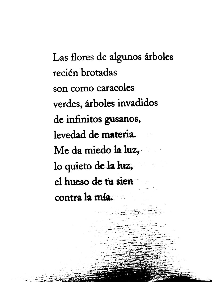 maptacabrera's tweet photo. me ha gustado muchísimo este libro que García Valdés escribe al espacio donde estaba y ya no su madre

he pensado en algunos amigos

hace bastantes años que este libro no se puede adquirir https://t.co/gg4br87WBq