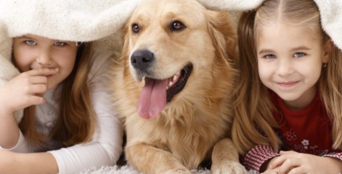 thinkeqcoaching's tweet photo. It's not all about 'human' emotional intelligence here at Think EQ 😉

As it's #nationalpetday2023 today, we trawled the net and found this article on how pets can help children develop their emotional intelligence through empathy, self-esteem, and more:
https://t.co/DbGW8Yh4oY https://t.co/pIsd3Z1czp