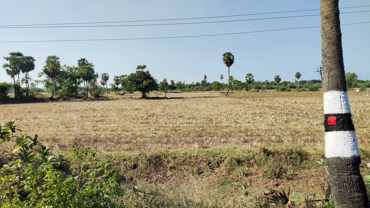 iRiyasimam's tweet image. No farmers No food
#wesupportfarmers