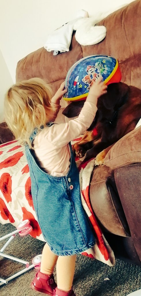 When she just won't leave the dog alone 🤣🤣🤣😘
#bondingtime