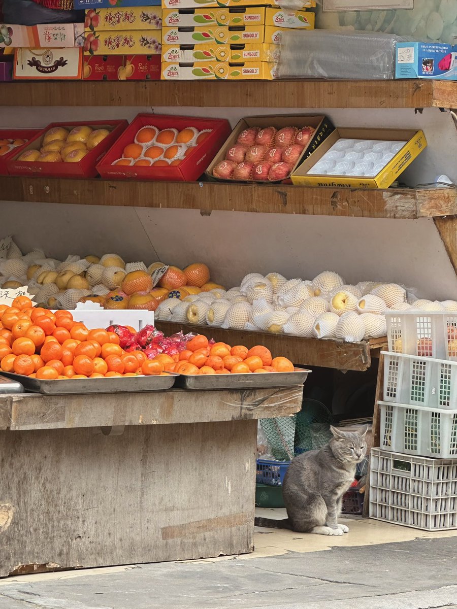 실타래 tweet media