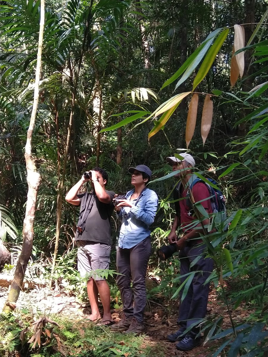 1/10 Conservation work can be tough, with consequences for conservationists’ mental health. But workplace risk factors may not be equally experienced between job roles, as explored in our new #OA #LifeInConservation <a href="/ConservationSP/">Conservation Science and Practice</a> paper conbio.onlinelibrary.wiley.com/doi/pdf/10.111…. 📷<a href="/venadavenu/">Vena</a>