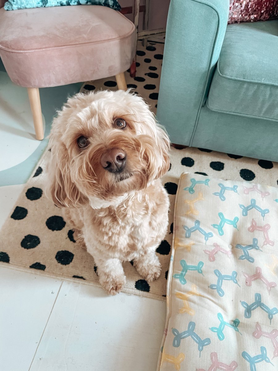 2 Sisters Design Ltd tweet media