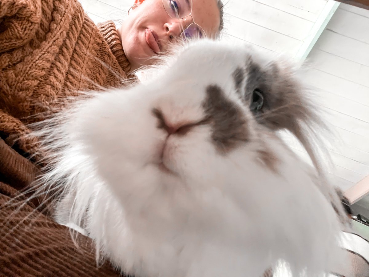 2 Sisters Design Ltd tweet media