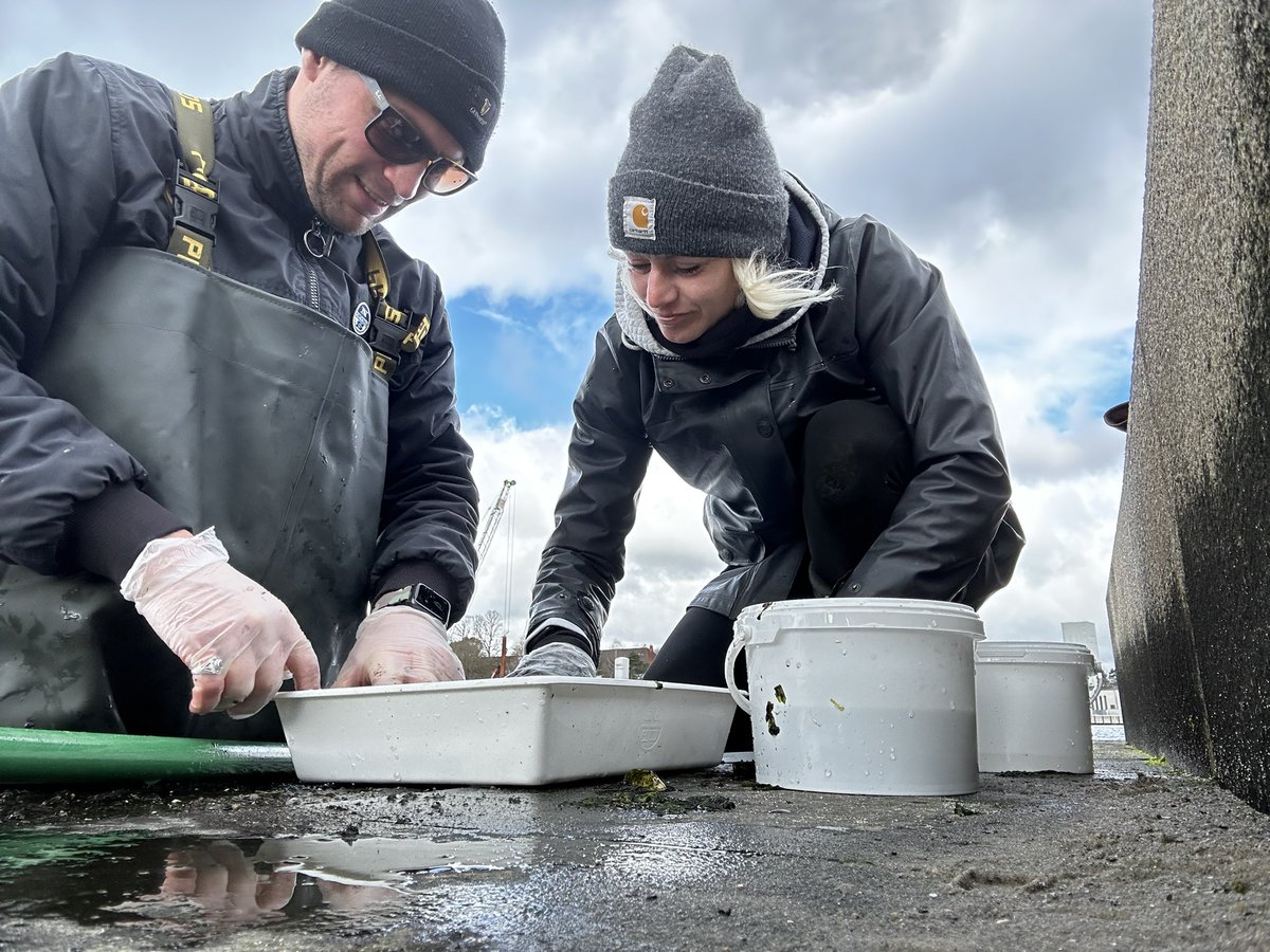 Christine Ewers tweet media