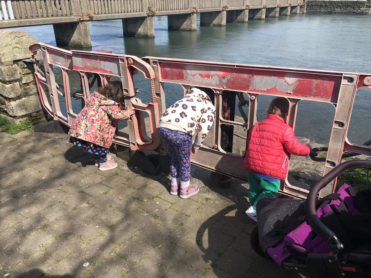 The Pitch tweet media