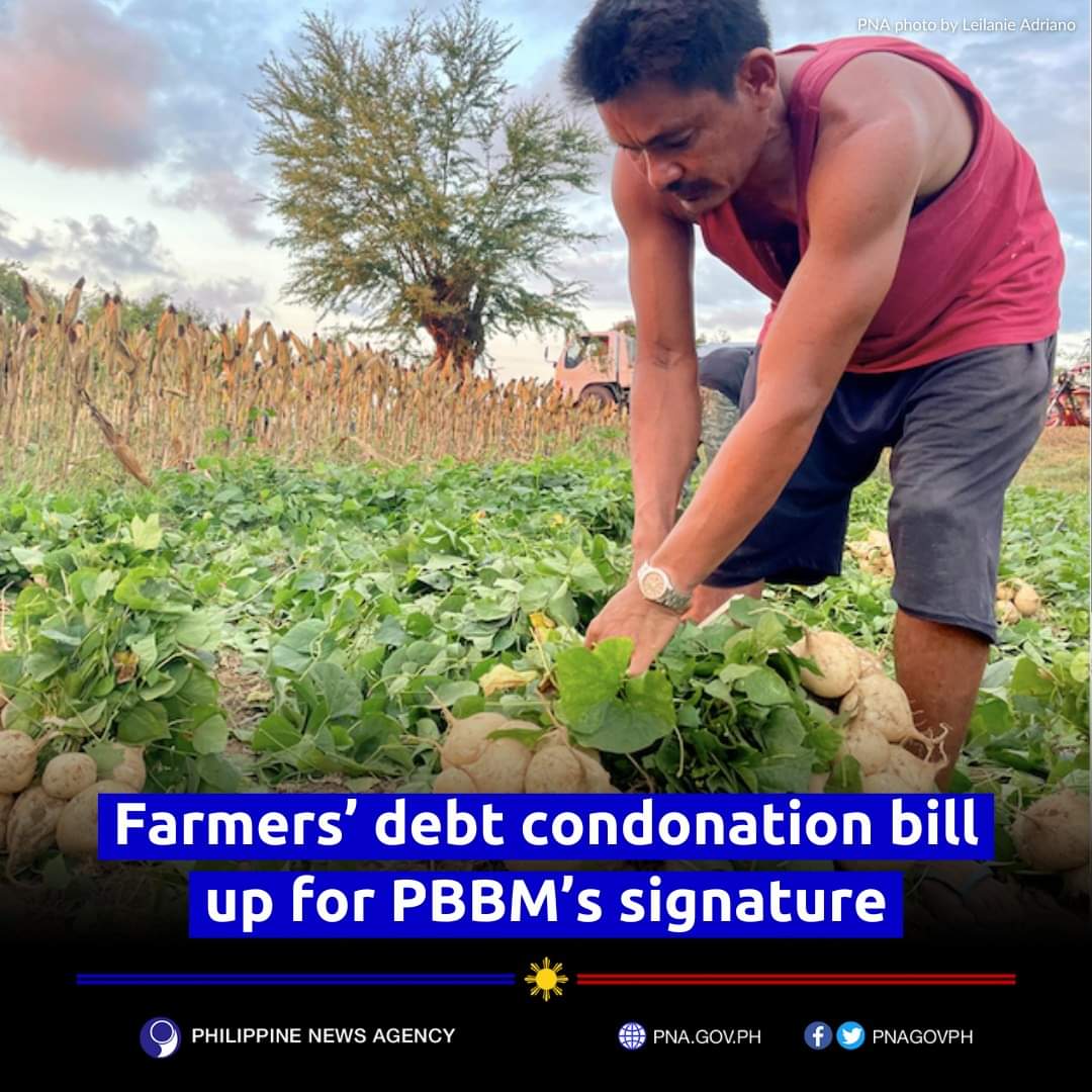 Philippine News Agency on Twitter "The condonation shall cover all principal loans, unpaid