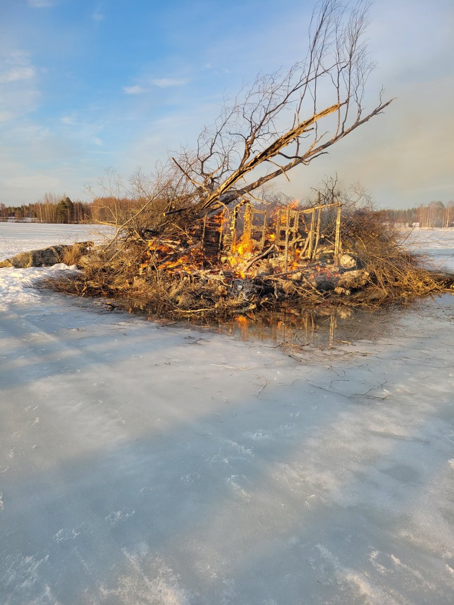 elinvoimak_EP's tweet photo. I #Helmiprogrammet's #fågelrestaurering'stema försöker man stärka stammar av hotade sjö- och strandfåglar bl.a. genom att förbättra fåglarnas häckningsmöjligheter. I Eteläinen Edesjärvi i Alavus restaureras en häckningsö genom att på talko samla material till en påskbrasa. https://t.co/XR5AUWY0Dl