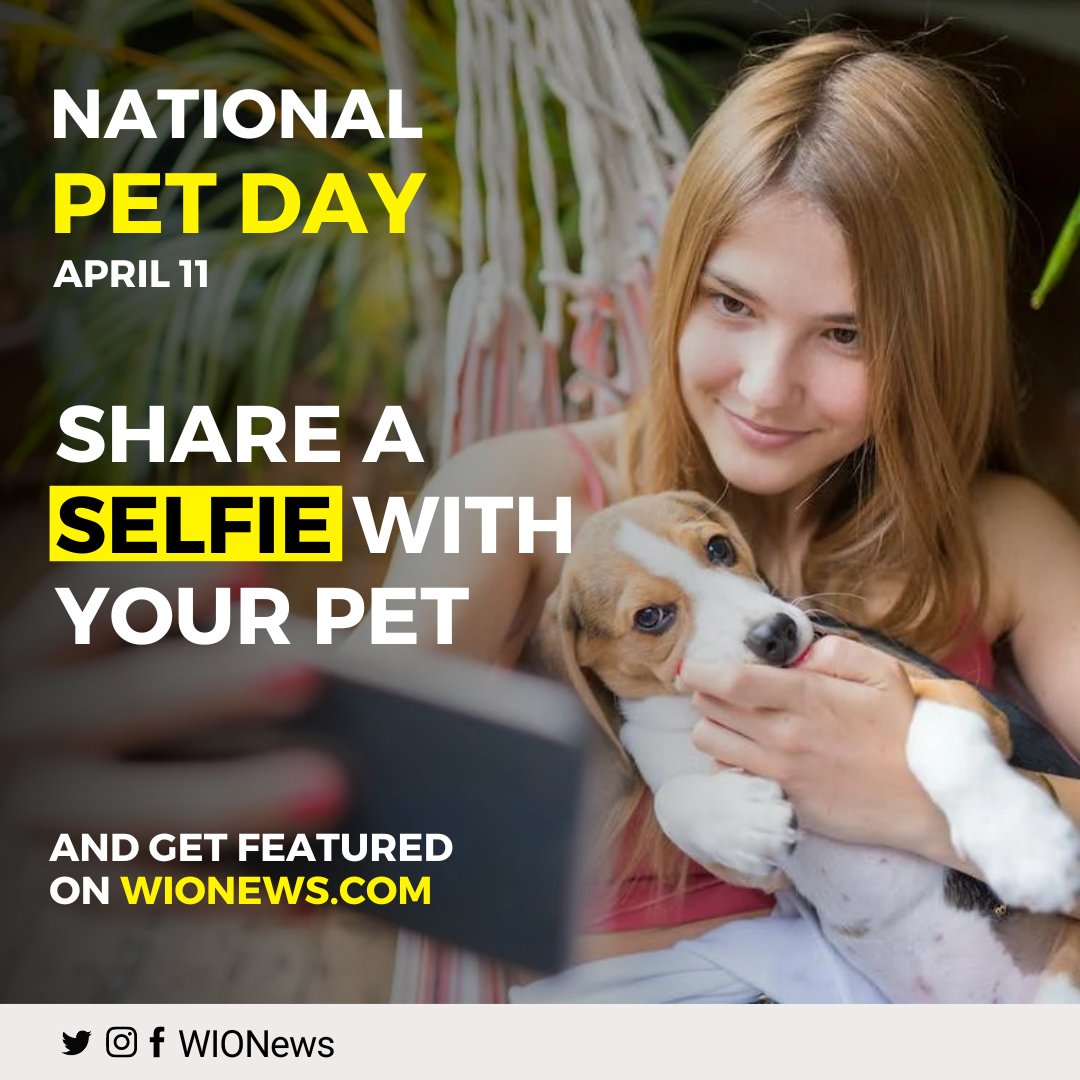 WION on Twitter "RT Hey there pet lovers! 🐾 Are you