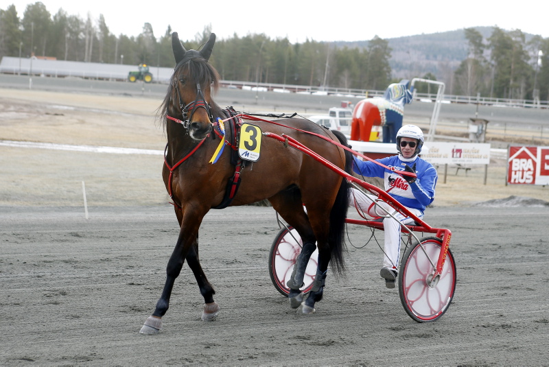 Rättvik 11 April
Lopp 1
Segrare: BILLY IDOL / Jorma Kontio
Tränare: Susanne Richter
Vårdare: Susanne Richter
Ägare: Stall Björnberget
Segertid: 1.13,8
Uppfödare: Susanne Richter
 Foto: Foto Mike
Grattis till segern! 
#dalatravet #trav #rättvik #ägahäst #älskatrav #viärsporten