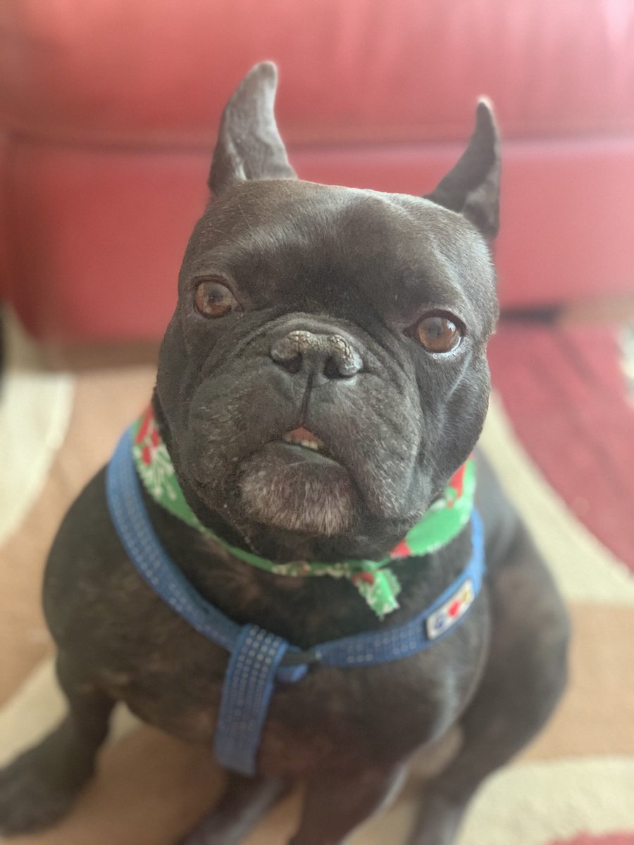 Benz!!!!!! ❤️❤️