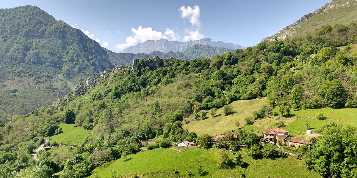 EspanaEnLatam's tweet image. Aprovecha la visita a la Reserva de la Biosfera de #Ponga para realizar senderismo en un entorno idílico 🚶‍♂️💚 y para probar productos locales como el famoso queso de los Beyos 🧀. 😋

👉 bit.ly/3mTmBT4

#TeMerecesEspaña #VisitSpain #SpainEcoTourism @TurismoAsturias