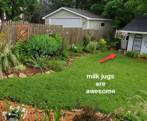 A rain barrel can save most homeowners at least 1300 gallons of water and rainwater is better for your plants. There is a warning from the UofMN about rainwater on your vegetables. Take a look at today's Garden Bite. Get a rain barrel and compost.
gardenbite.com/rain-barrels-a…