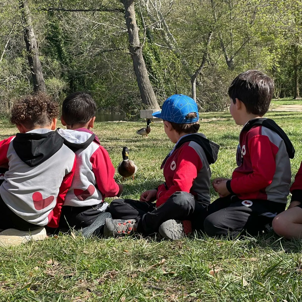 VedrunaGirona's tweet photo. Descoberta de l'estany de Banyoles dels d'I5 amb els 5 sentits! 🌿🦋🐞🐝 Ens ha encantat el projecte d'en Blauet! #INFvedruna #decididament #intensament #escolaoberta #escolacompetent #escolapropera #estany #Banyoles #natura #biodiversitat #treballperprojectes https://t.co/jbJF2Q7Zdd