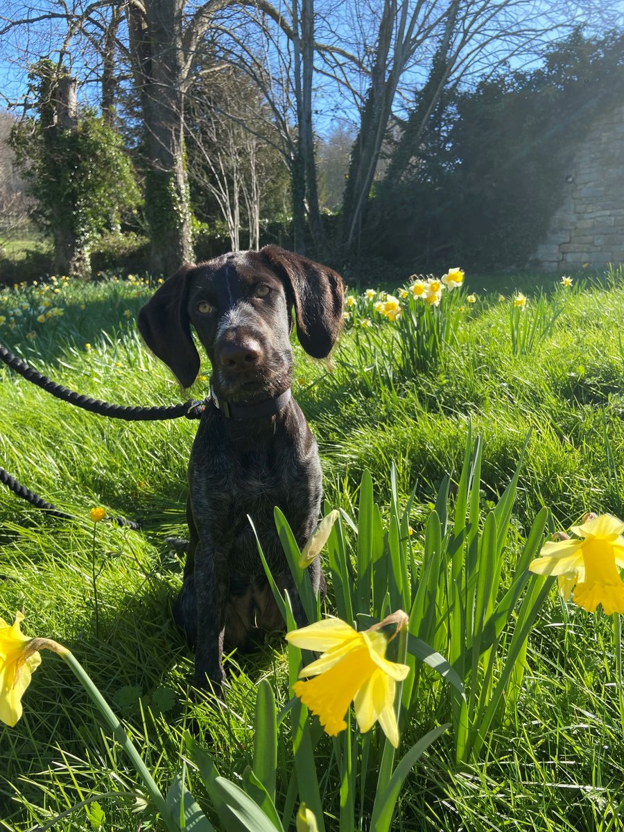 Buckland Manor tweet media