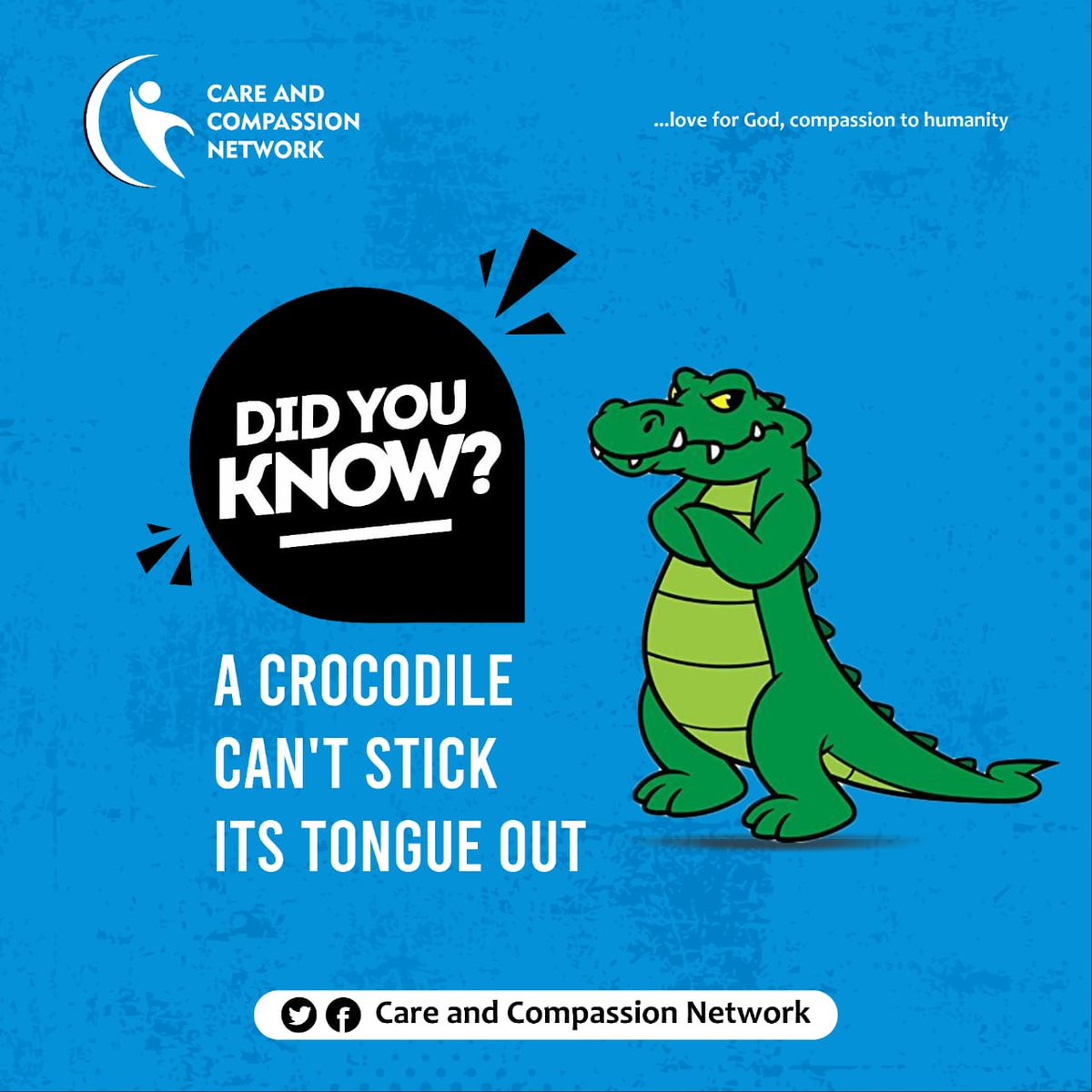 CCNetwork01's tweet photo. 😅
I bet you didn't know that.
#funfact
#CCNetwork https://t.co/b5R7gn85ui